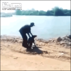 tumblr_nj9lz9PYFw1s02vreo1_400.gif