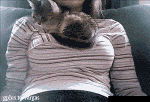 hornoxe.com_gifdump129_29.gif