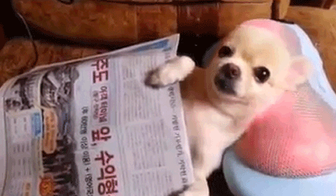 tumblr_nl2i4ejHqC1uq2n6jo1_500.gif