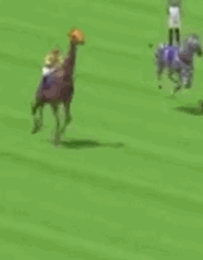 v3kw8.gif