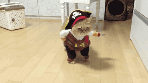 tumblr_nwar85AwIz1s02vreo2_500.gif