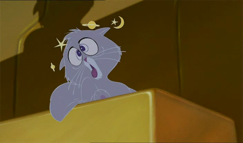 tumblr_mnn5pxO9VP1s6tmi6o1_500.gif