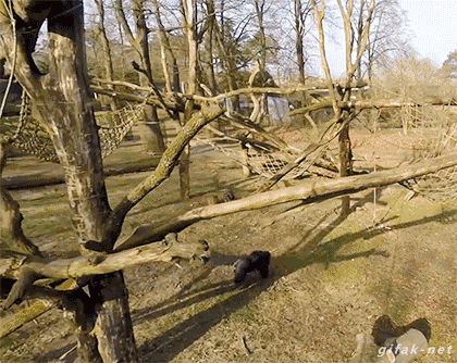 tumblr_nmnordFw3m1s2yegdo1_500.gif