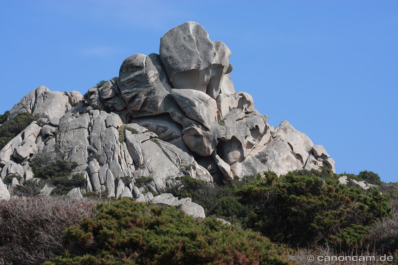 SARD_20090504_005.jpg