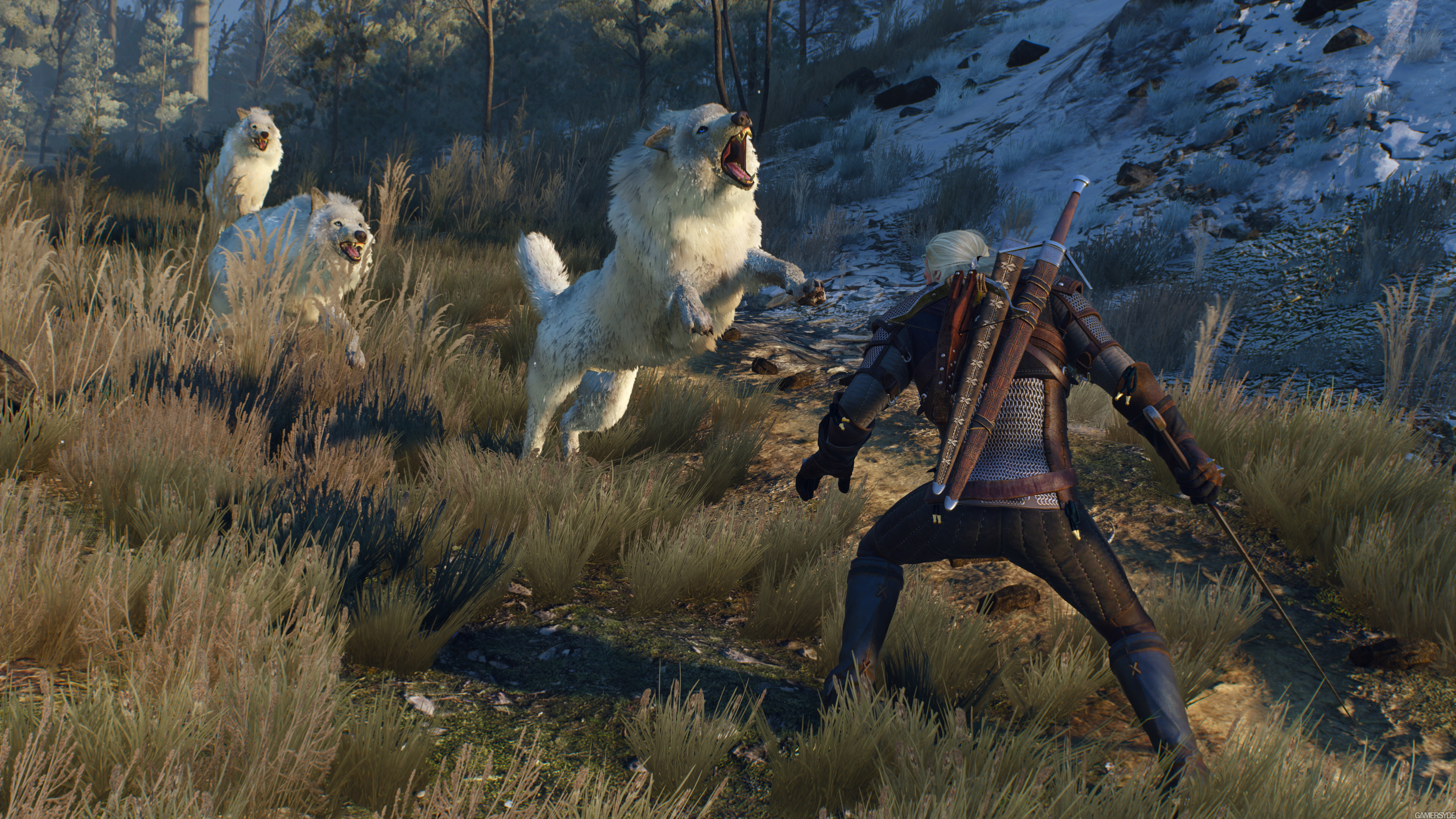 image_the_witcher_3_wild_hunt-28053-2651_0004.jpg