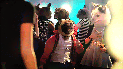 tumblr_mwjzyr687g1qb5gkjo1_500.gif