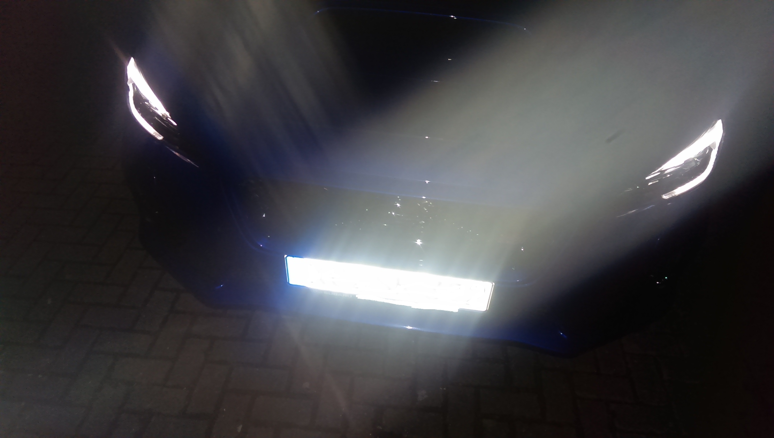 wwyzz7nf.jpg