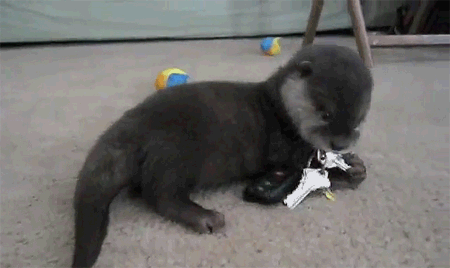 aXBQjb6.gif