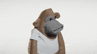 200w.gif