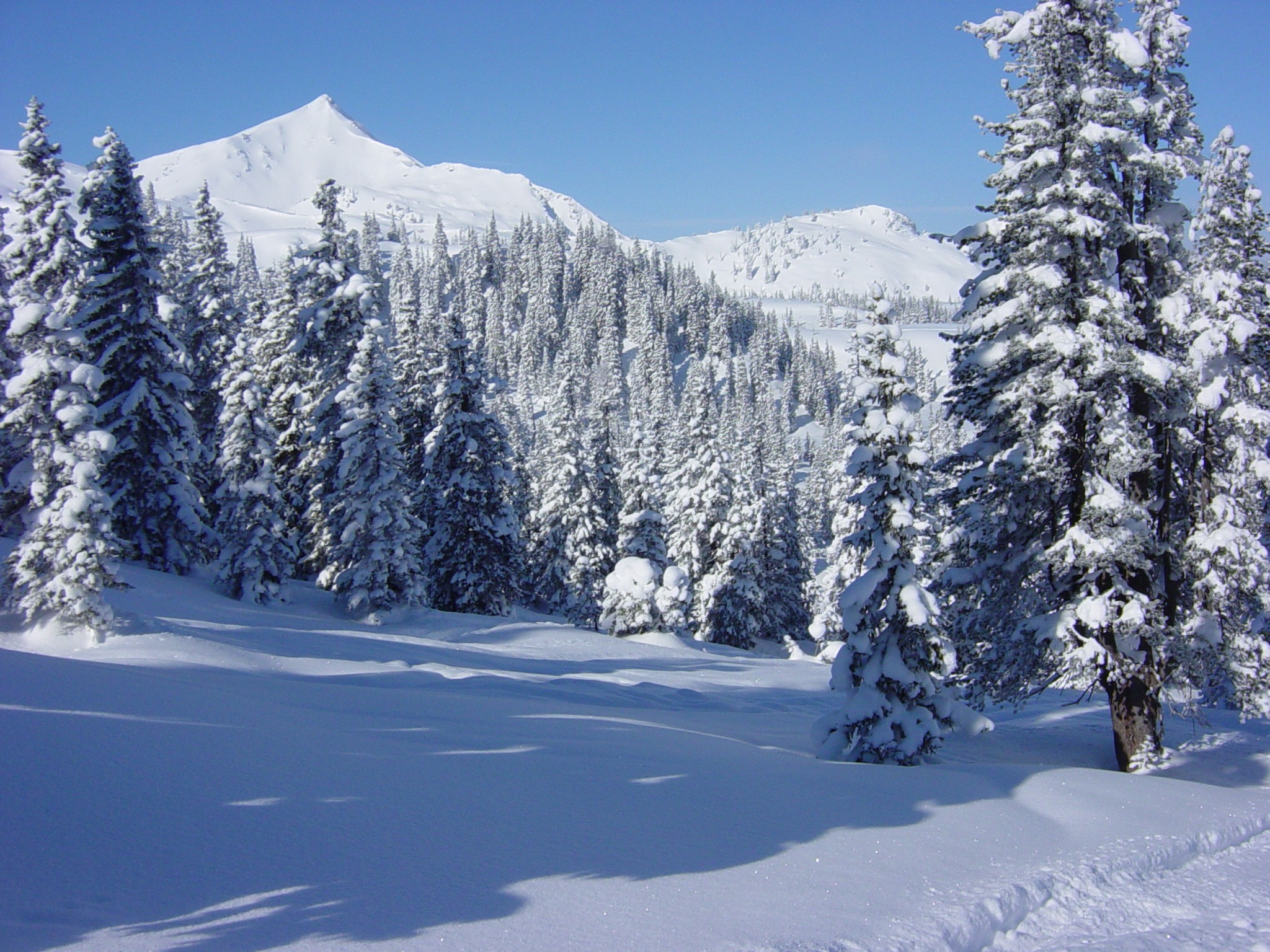 Winterlandschaft%2006.jpg