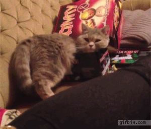 daily_gifdump_705_13.gif