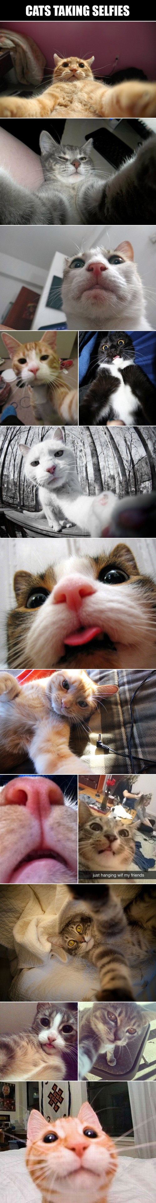 thumbs_picdump347_006.jpg