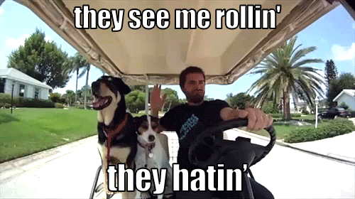 tumblr_m5ogl4fDlF1r2gru0o1_500.gif