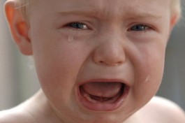 b1-r_p_185367_1_baby.jpg