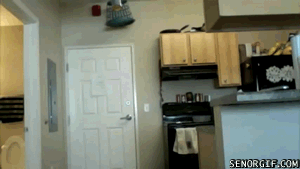 NKYE1.gif