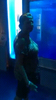 animation.gif