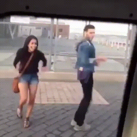 giphy.gif
