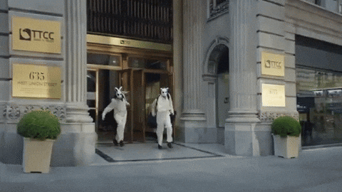 giphy.gif