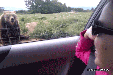 4wj3O.gif