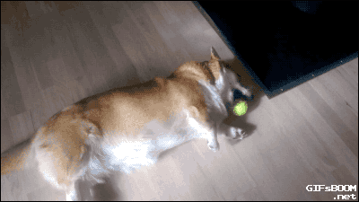tumblr_npl2z9YQR31s02vreo1_400.gif