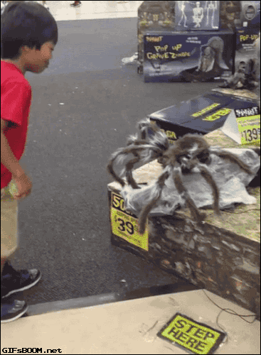 tumblr_neamesW7tJ1s02vreo1_400.gif