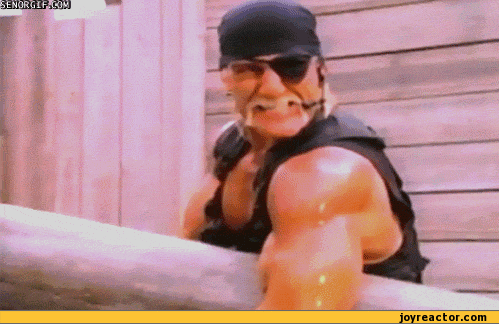 gif-hulk-hogan-pillar-544267.gif
