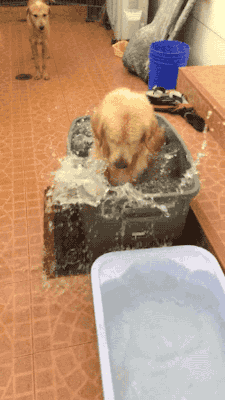 tumblr_ntjt73ZGvQ1s02vreo2_250.gif