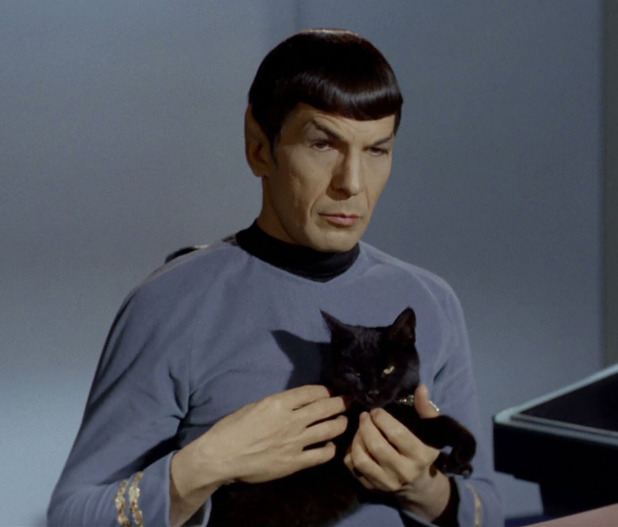 star-trek-spock-5.jpg