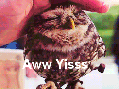 tumblr_inline_mor39sRDrQ1qz4rgp.gif