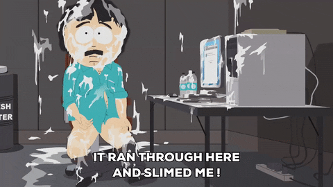 giphy.gif