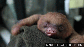 f2t3p135n14.gif