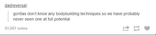 gD3vkvQ.jpg