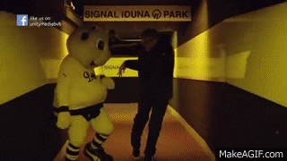 giphy.gif