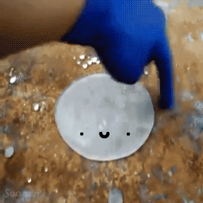 tOBTxGnpKbG4U.gif