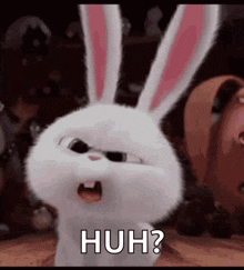 bunny-wth.gif