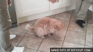 ZTDW8ew.gif