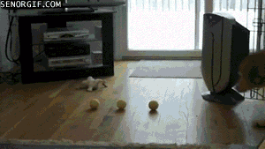 8yRcF.gif