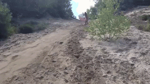 gmDSU1n.gif