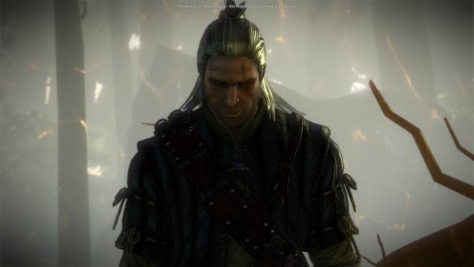 the_witcher_2_faq_011.jpg