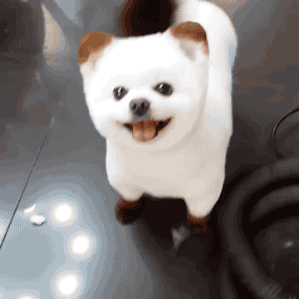 tumblr_oftj50nFtV1s02vreo1_400.gif