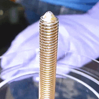hornoxe.com_gifdump152_15.gif
