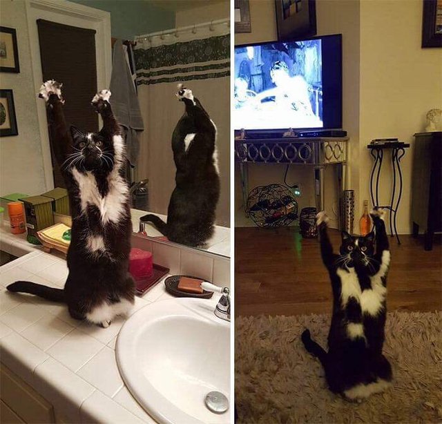 picdump-16-09-16-001.jpg