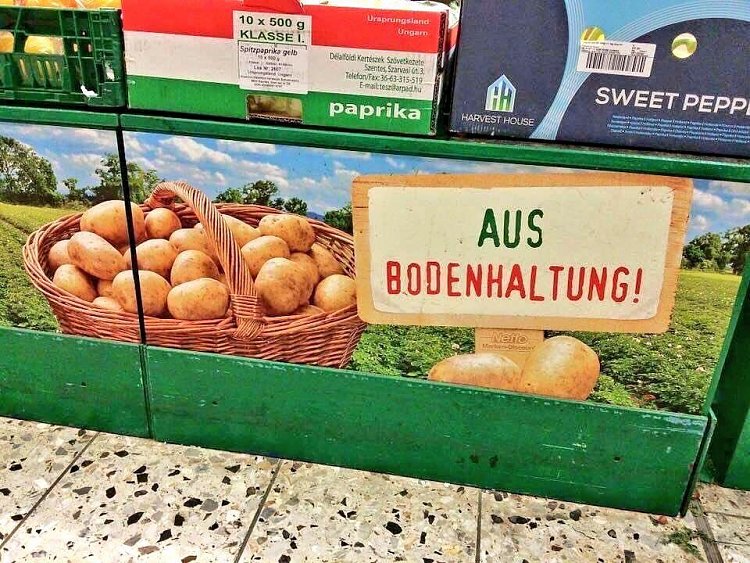 picdump505_016.jpg