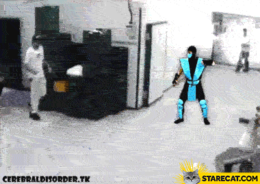 giphy.gif