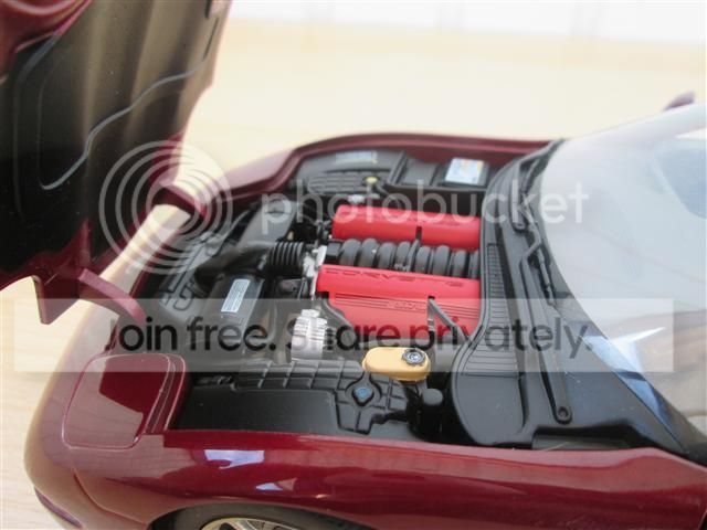 IMG_0779_zpsfn79d1oi.jpg