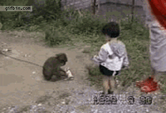 giphy.gif