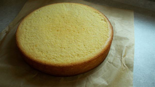 giottotorte-004.jpg