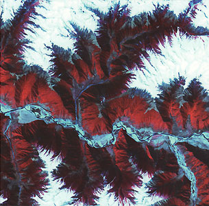 MAERORTRI-multiple300.jpg