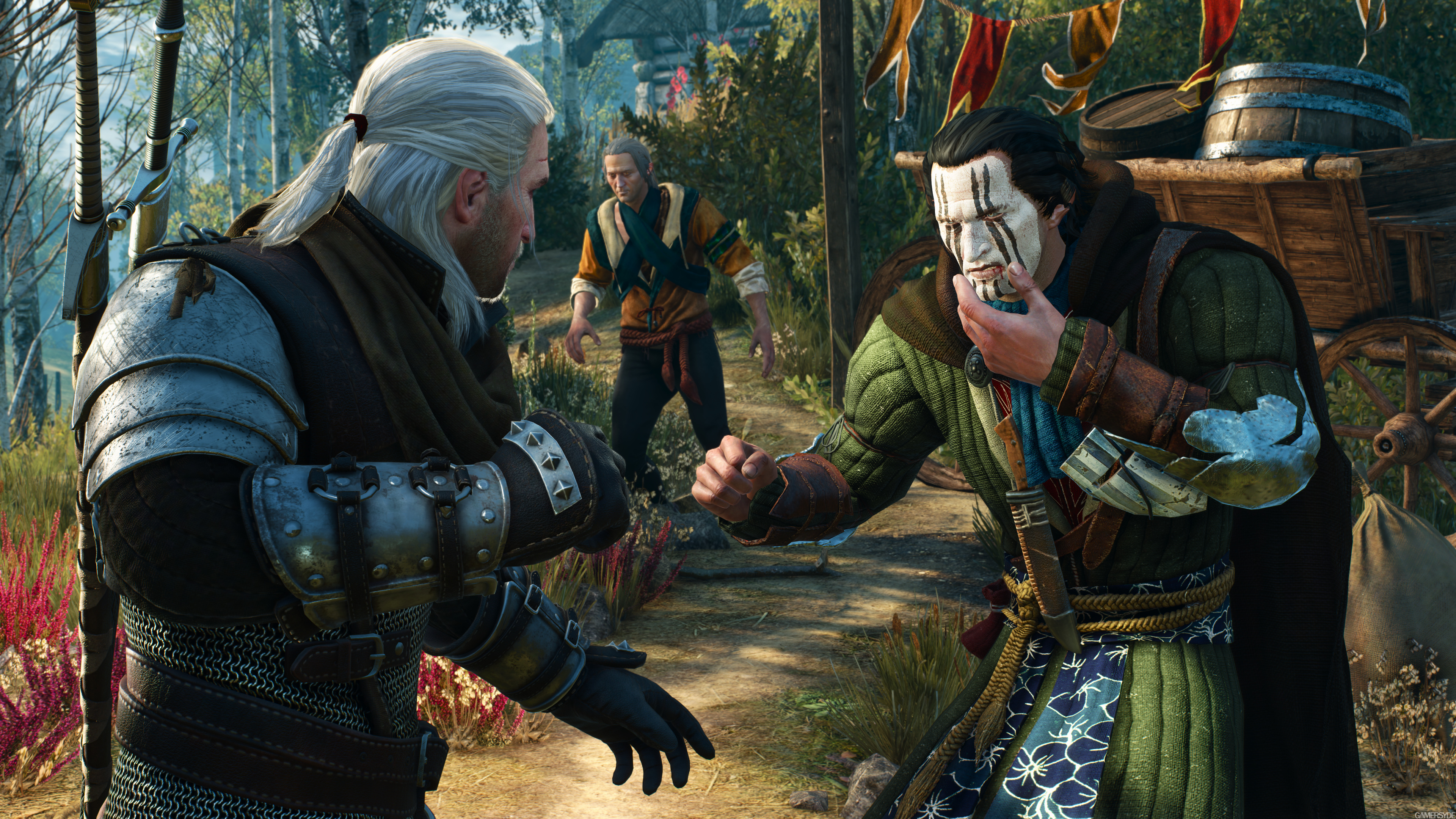 image_the_witcher_3_wild_hunt-28053-2651_0003.jpg
