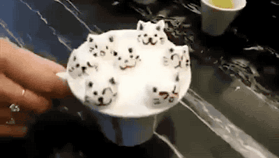 tumblr_nv4tlp9rMs1s02vreo1_400.gif